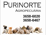 Purinorte